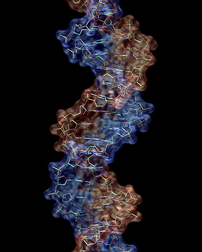 Imagen de una molecula de adn